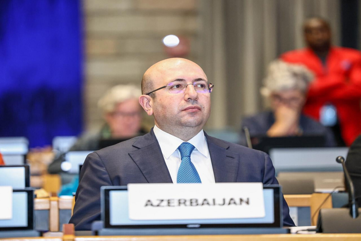 Anar Guliyev'in katıldığı BM-Habitat Meclisi'nin ikinci oturumu tamamlandı