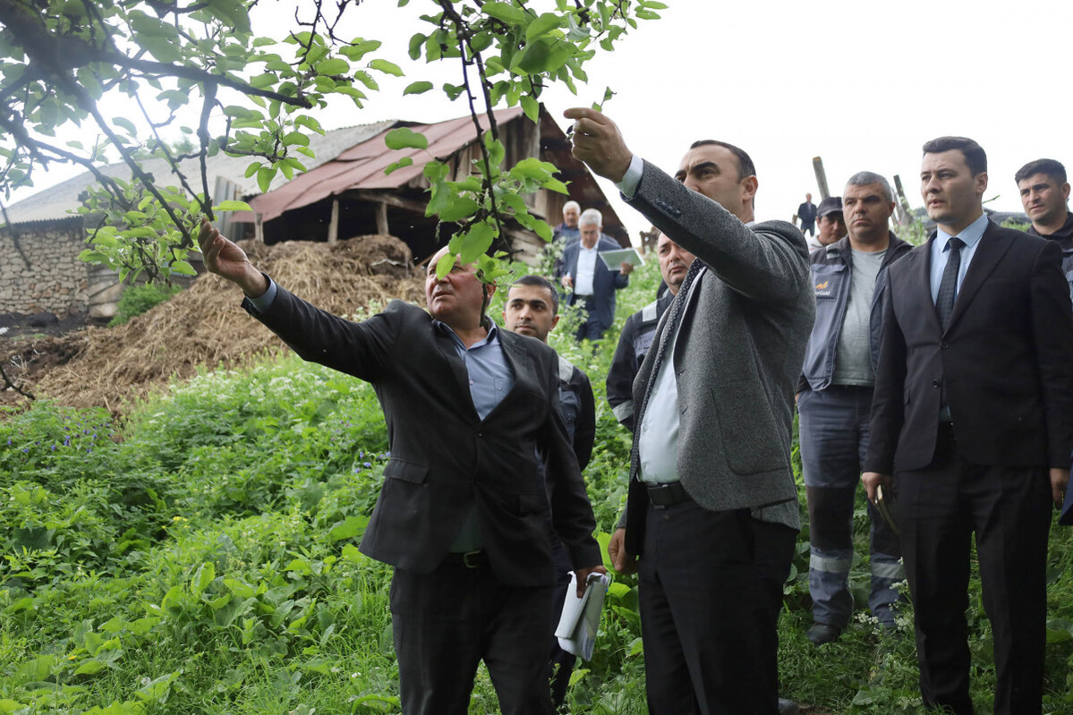 "Dashkasan ve Goygol bölgelerindeki tarımsal gelişim desteği" projesi ve toplulukları projesi içinde toplantılar düzenleniyor