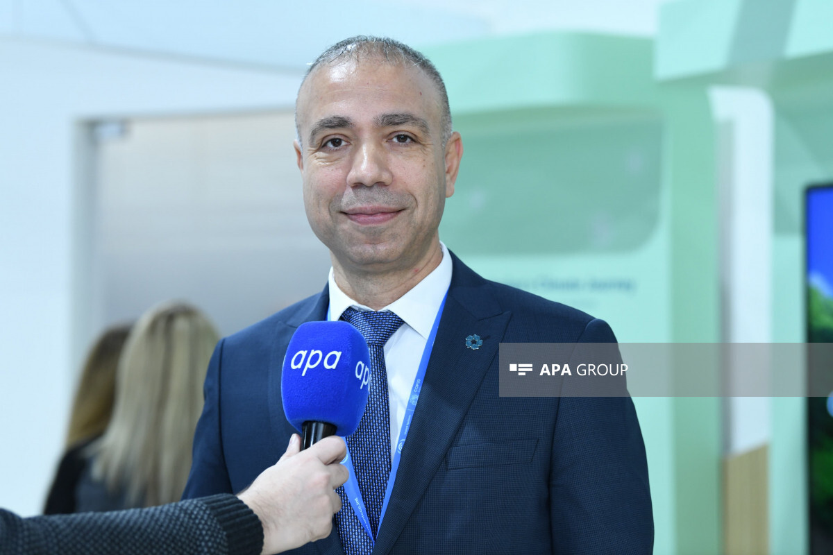 Elnur Soltanov: Karabakh gelecekte ülkenin diğer bölümlerini yeşil enerji ile sağlayacak