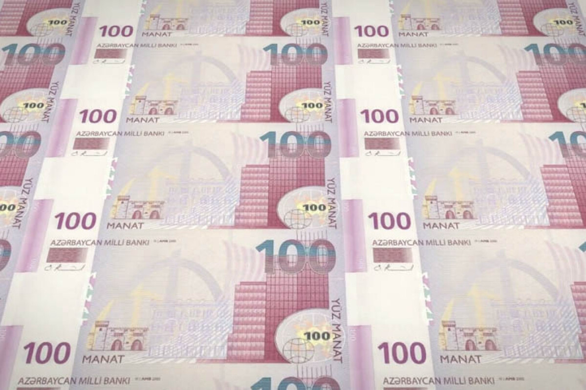 Geçen yıl kamu alımına tahsis edilen fonlar rekor seviyeye ulaştı