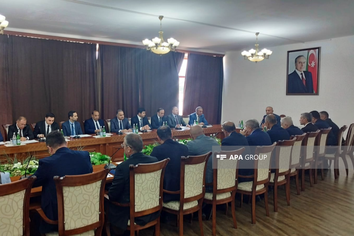 Elnur Soltanov: Karabakh'taki Yeşil Enerji İşleri Dünyaya Örnek Olarak Gösterilebilir - Fotoğraf