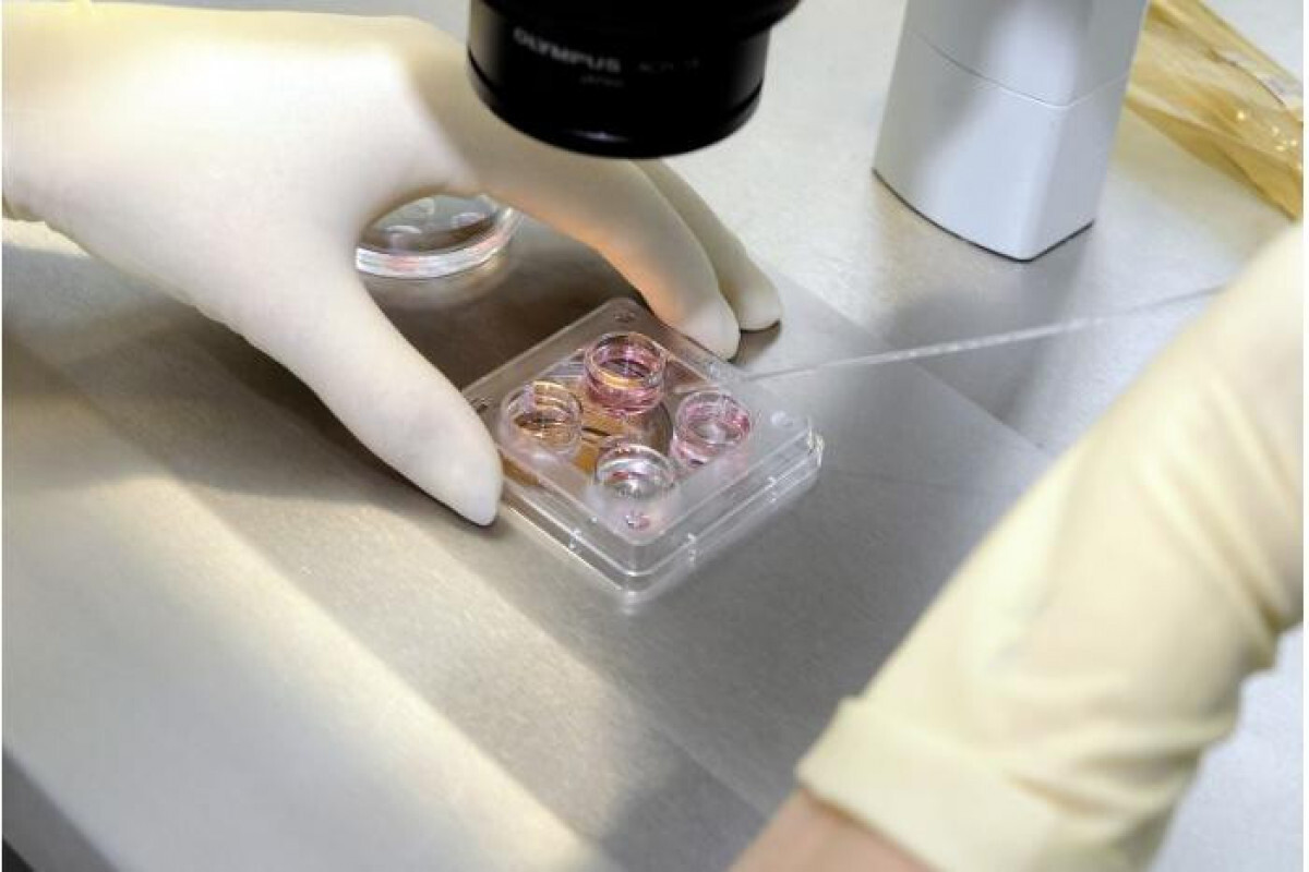 Yasadışı yapay tohumlama ve tıbbi sterilizasyon cezaları sıkılıyor