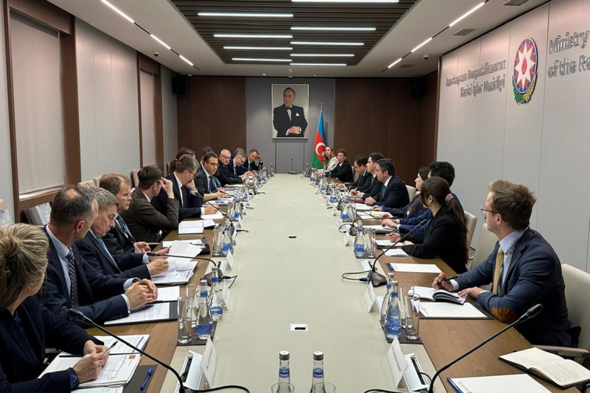 Azerbaycan'ın Kuzey ve Baltık Devletleri ile işbirliği gündemi tartışıldı