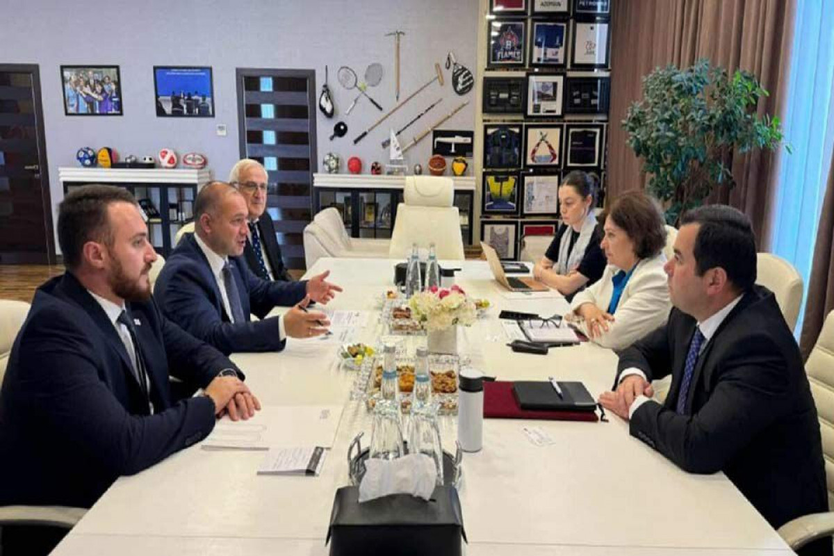 Gürcü Parlamento Komitesi Başkanı Azerbaycan'ı ziyaret ediyor