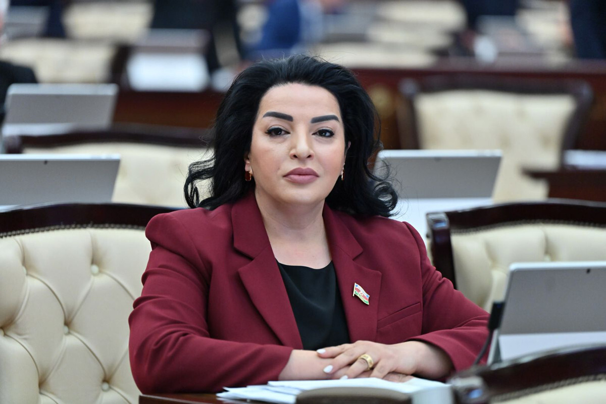 FATMA YALLIM, Doğal Kaynaklar, Enerji ve Ekoloji Komitesi Başkan Yardımcısı