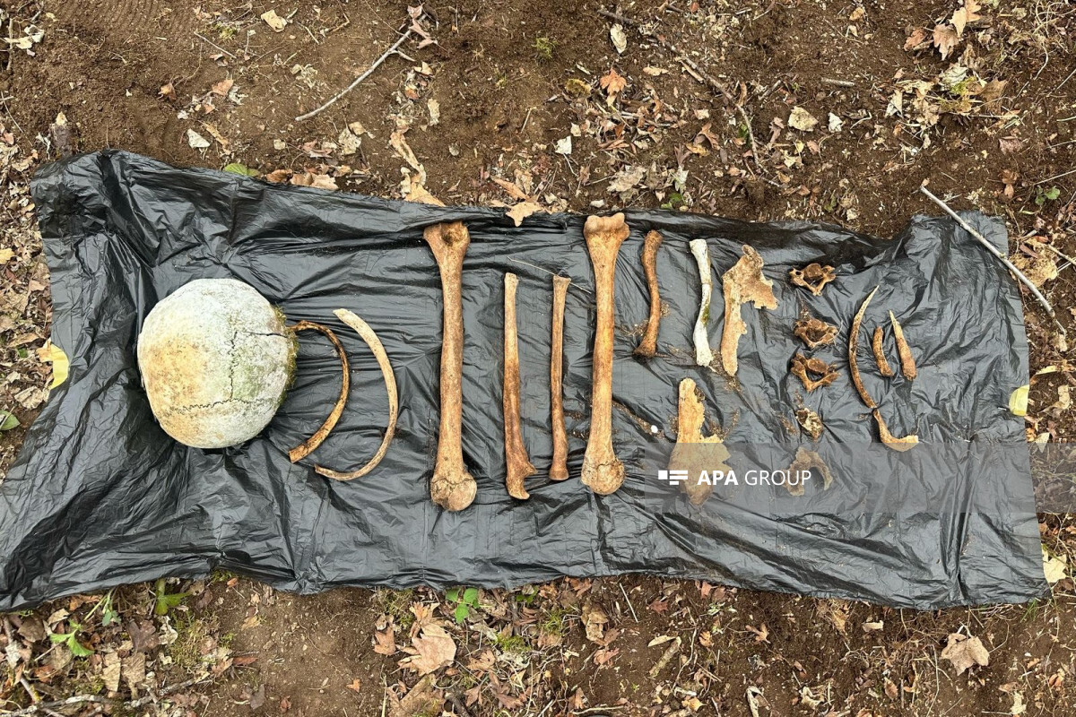 Gabriel'de bulunan kemik kalıntıları insan olarak bulundu