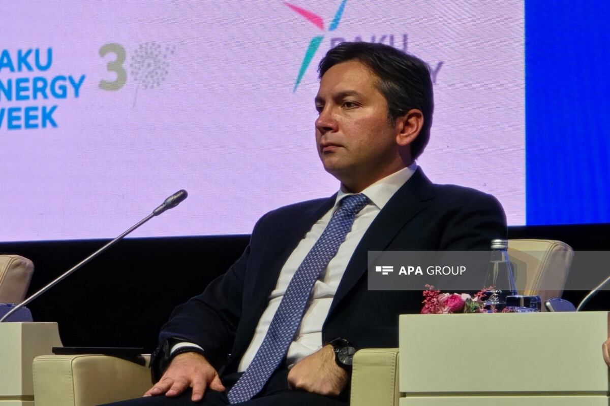 Yalcin Rafiyev: COP29 en başarılı olarak kabul edilir