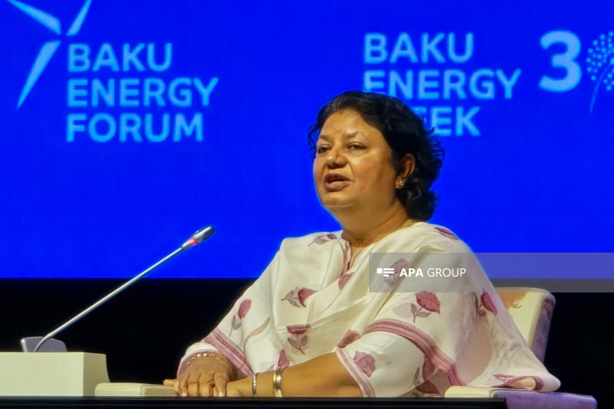 Gauri Singx: Gelişmekte olan ülkelerin yenilenebilir enerjide finansal bir sorunu var