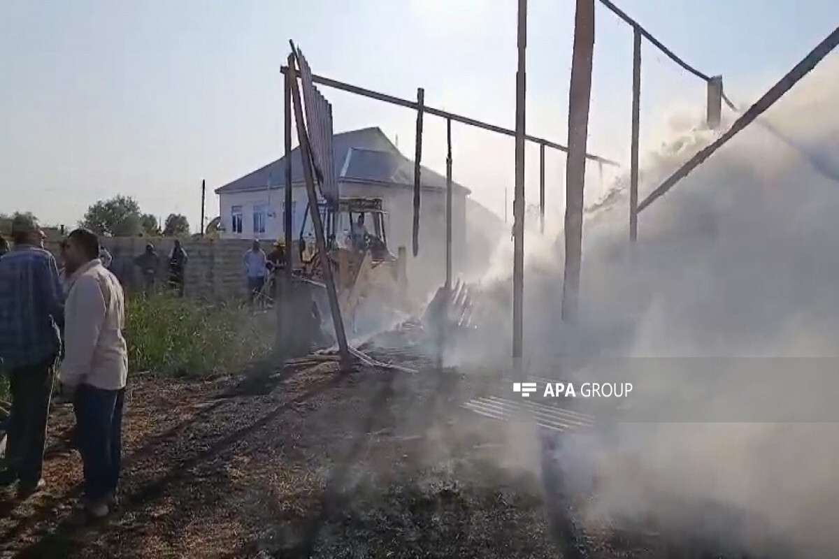 Hyvan Telef, Salyan'da Çeşitli Çkan Yang, 7 Bir Bitki Yakıldı - Video