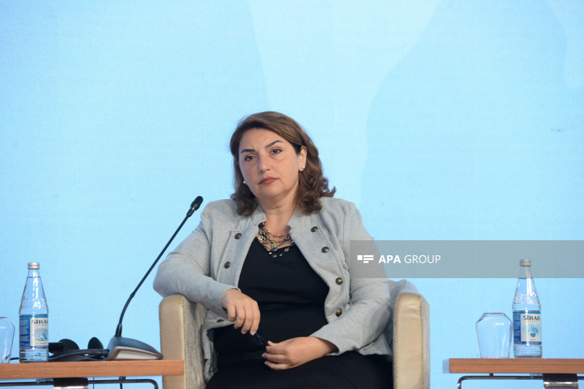 Shafag Mehraliyeva: Bilgi ortamında sağlıklı eleştirilerin zayıflığı ciddi bir sorundur