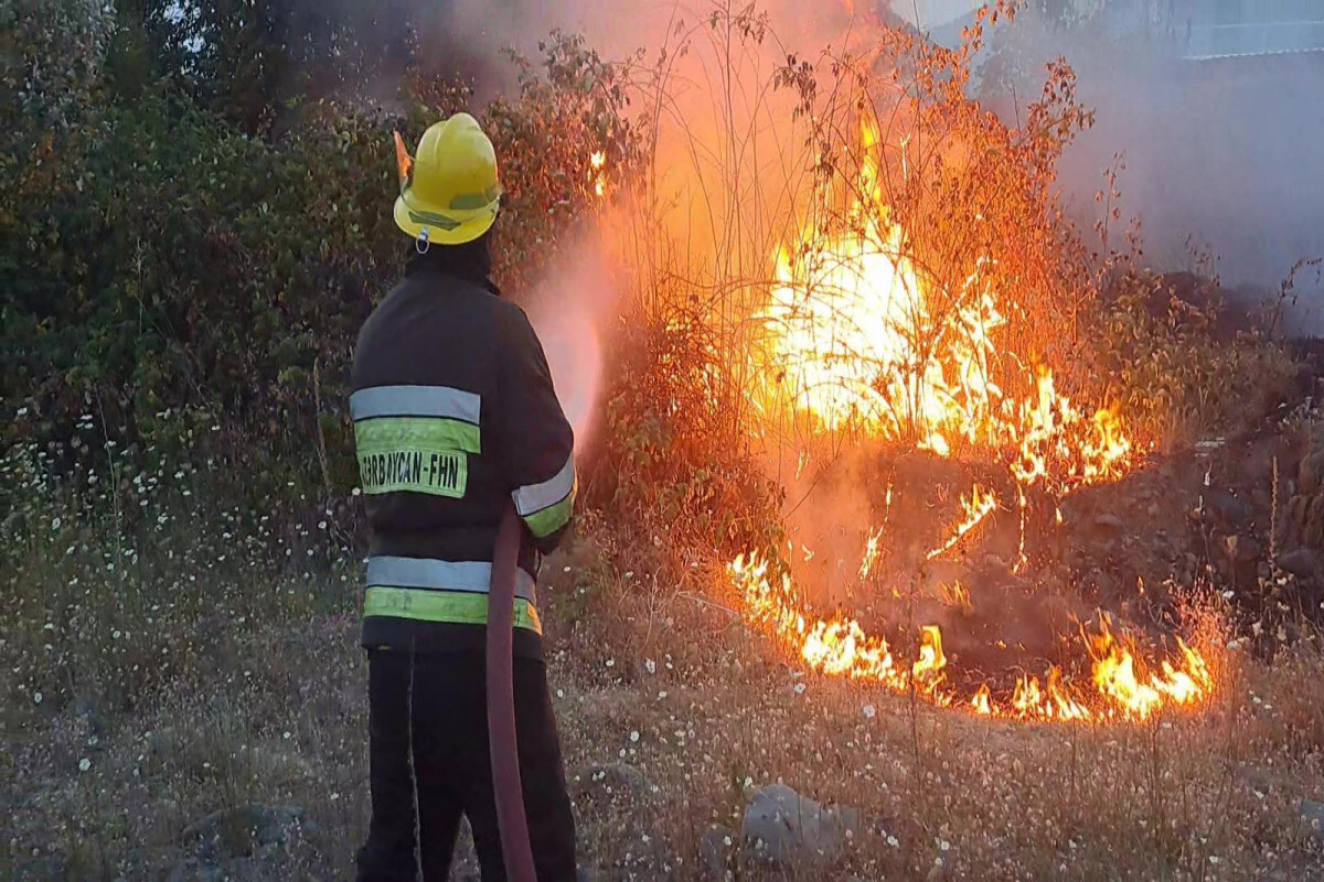 Zagatala'da açık alanda bir yangın vardı - fotoğraf
