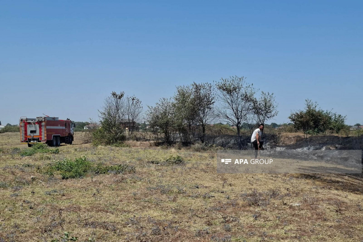 Masalli'da Özelliği Arazari Dazkan Yang Söndürüldü - Photolent