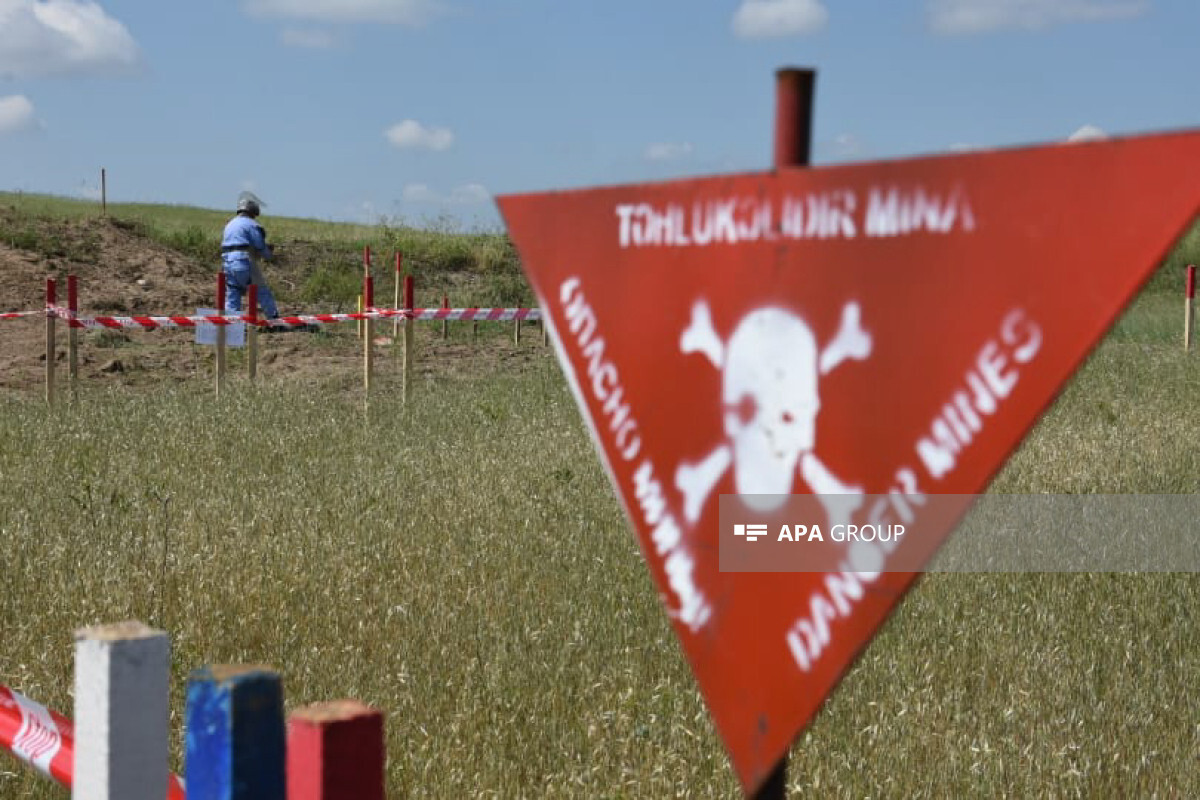 Serbest bırakılan alanlarda 79 mayın ve 178 pH daha bulundu