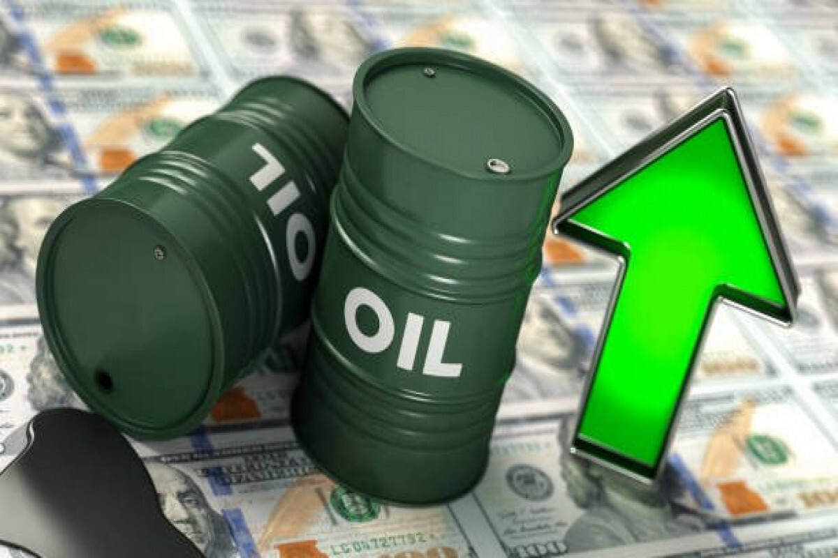 Azerbaycan Petrol'ün Premium 74 Catches
