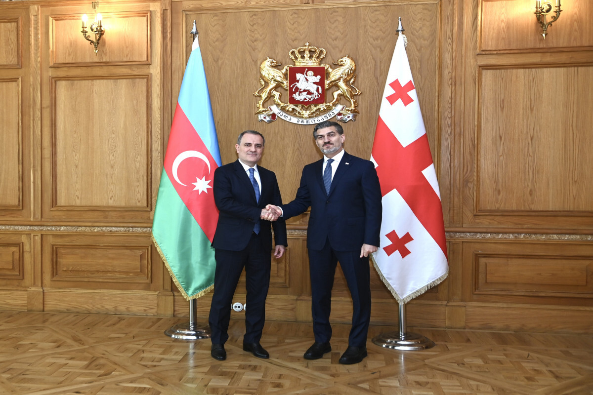 Jeyhun Bayramov, Gürcü Cumhurbaşkanı Başkanı'na Ermenistan ile normalleştirme konusunda bilgi verdi