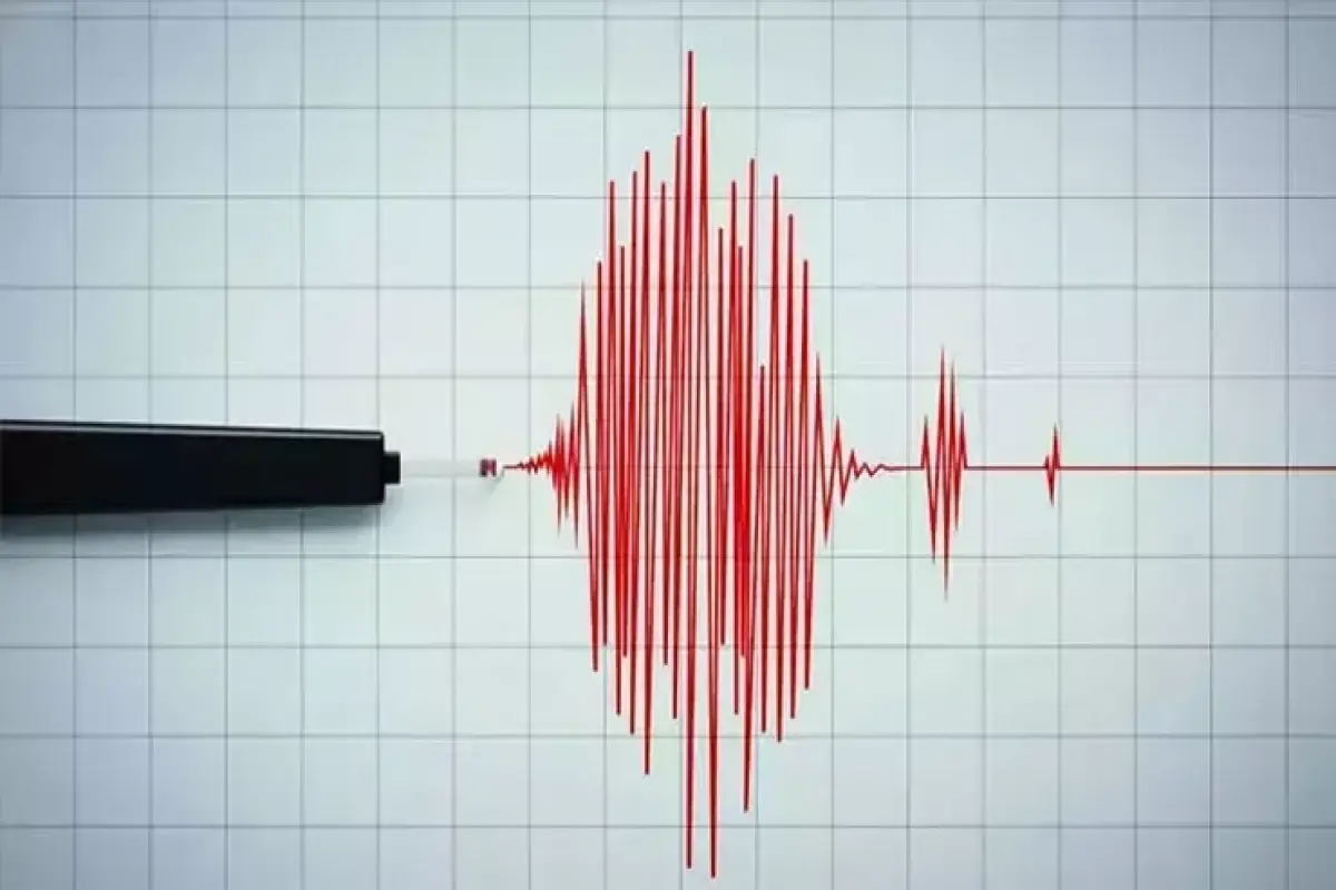 4.9 Büyüklük Depremi Sallar Türkiye