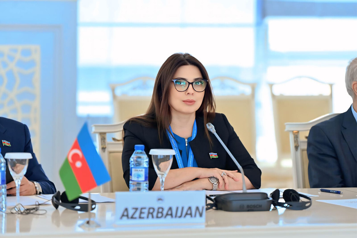 Milli Meclis Savunma, Güvenlik ve Yolsuzlukla Mücadele Komisyonu Üyesi Sabina Salmanova