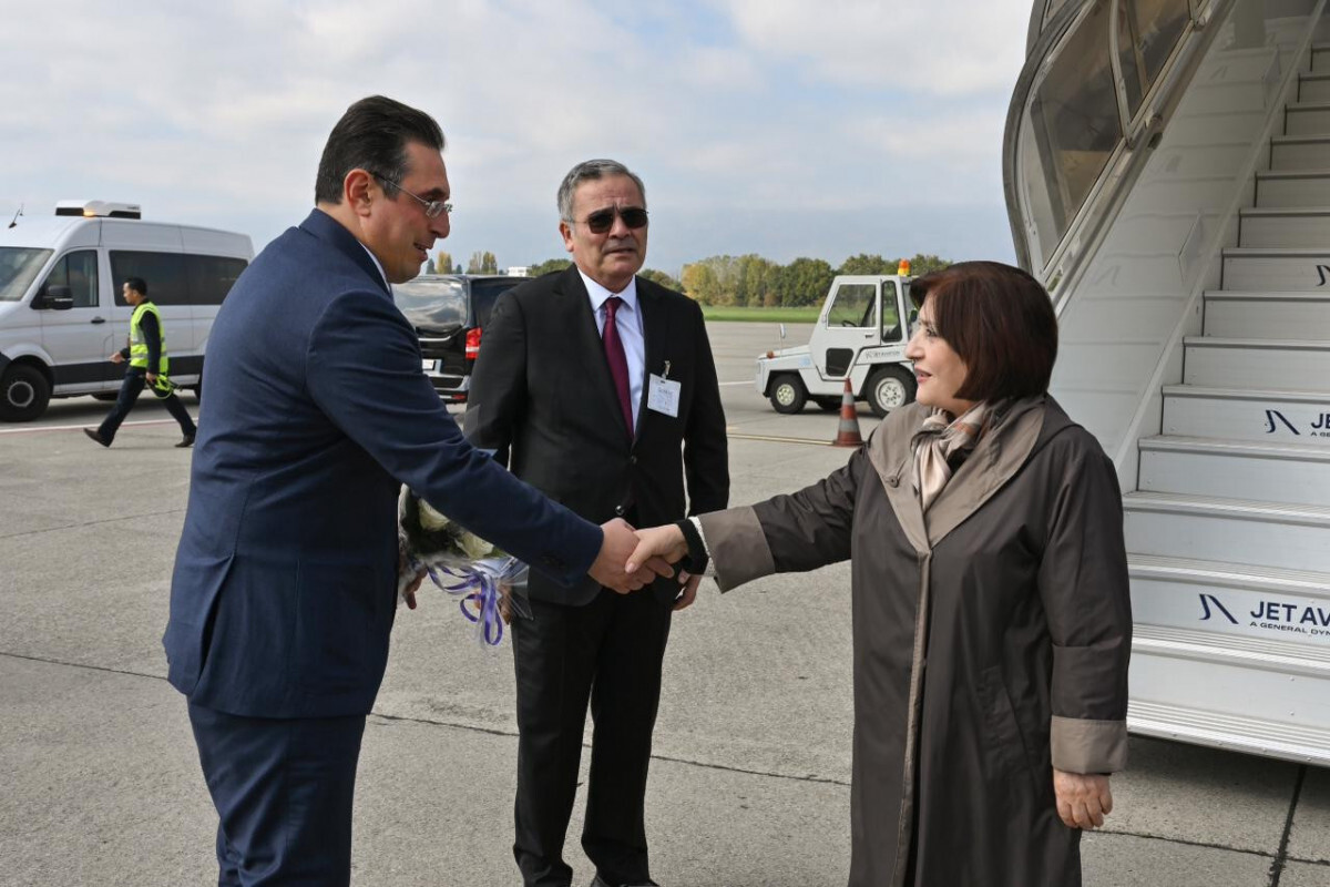 Sahib Gafarova İsviçre'ye iş gezisi yaptı